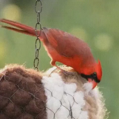 Nesting Heart Alpaca Wool Dispenser